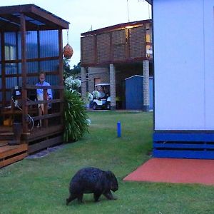 Big4 Kelso Sands Holiday & Native Wildlife Park